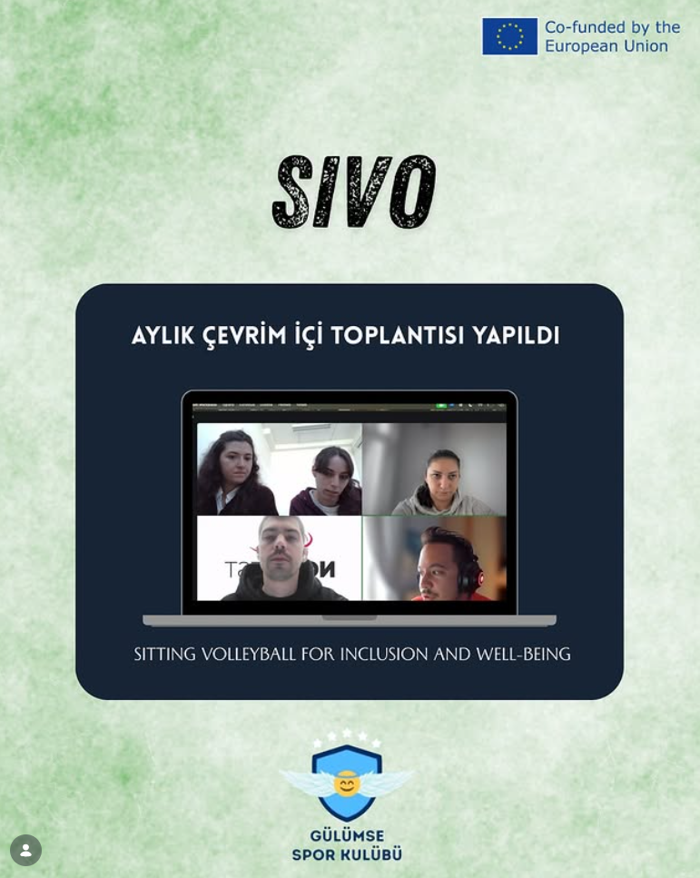 Monthly online meeting of the SIVO project was held